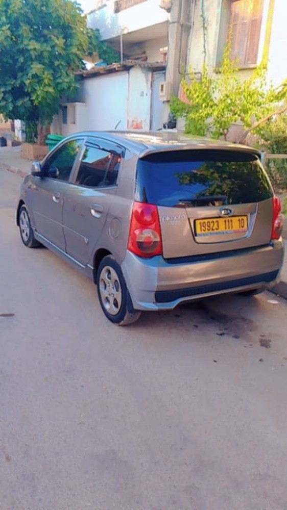 picanto fanny - 2