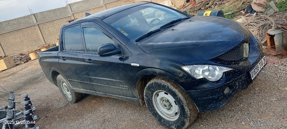 سيارة دونج فانغ - 3
