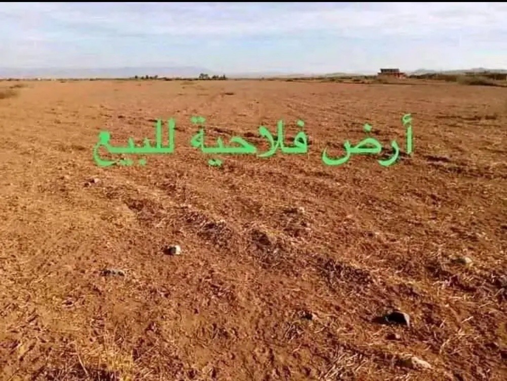 ارض فلاحية للبيع - 1