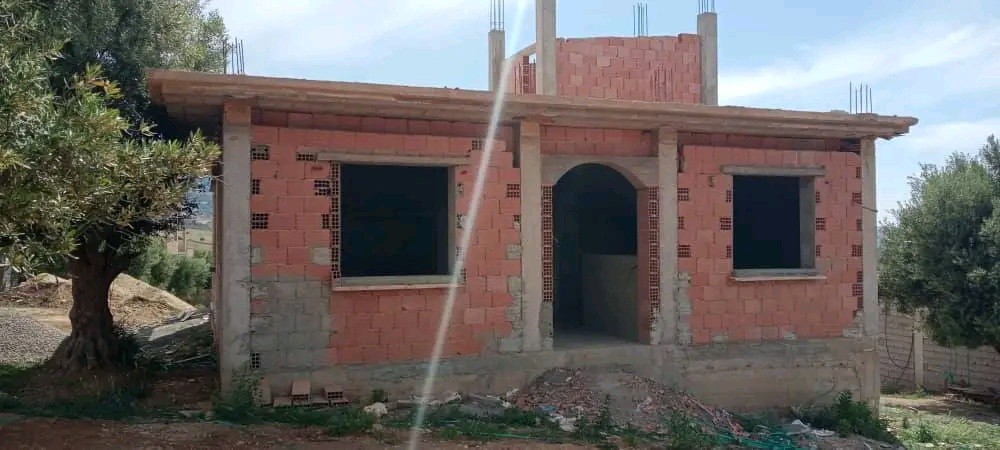 تقريبا كاملة معها البواب و نوافذ - 1