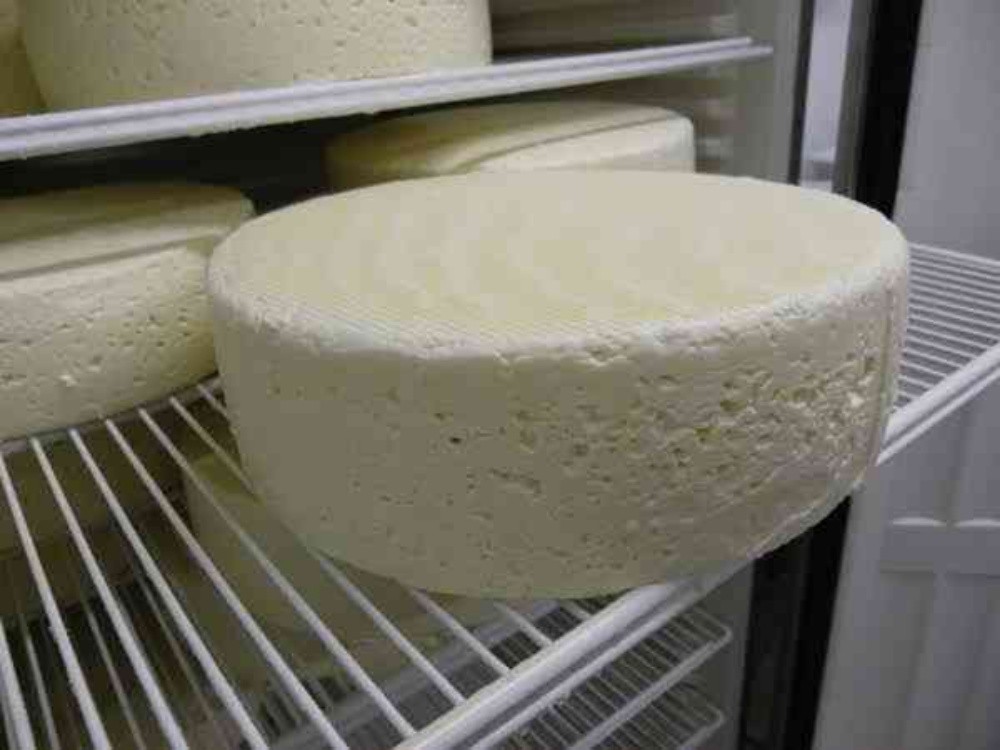 Présure de fromage - 2