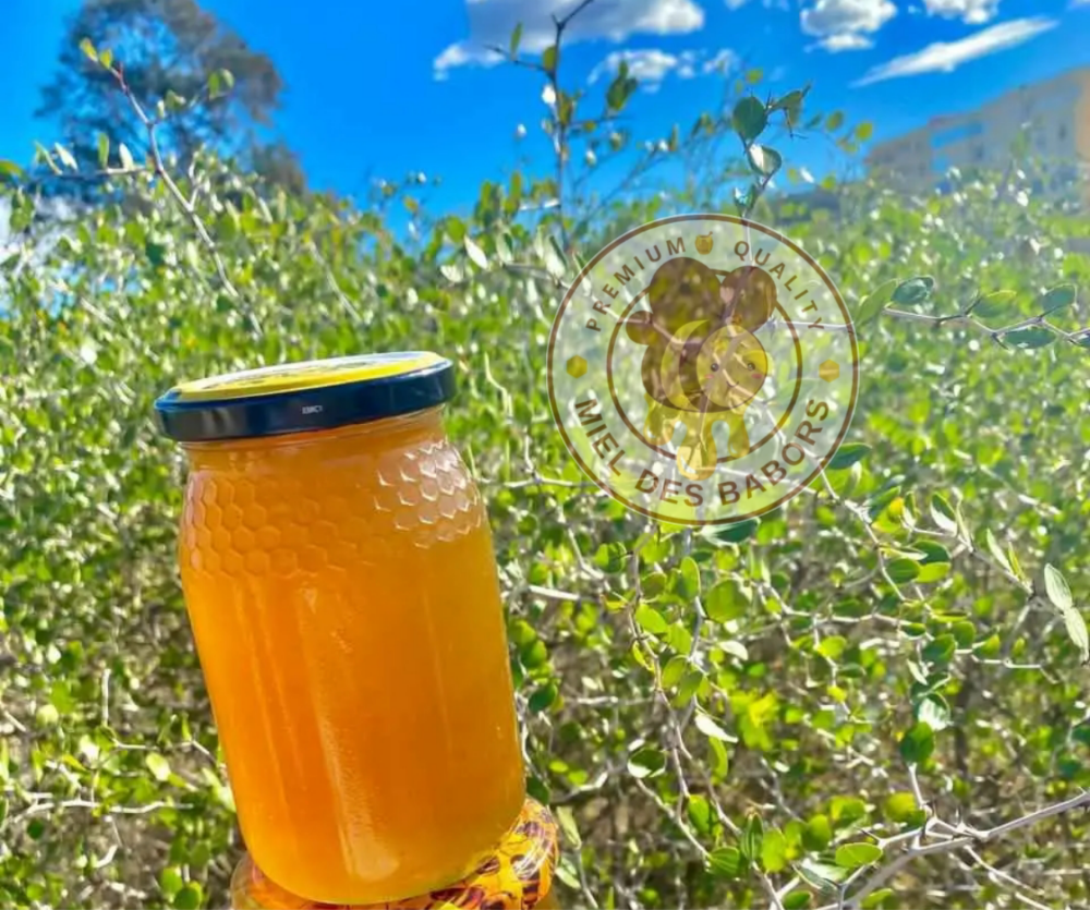 عسل السدر - 2
