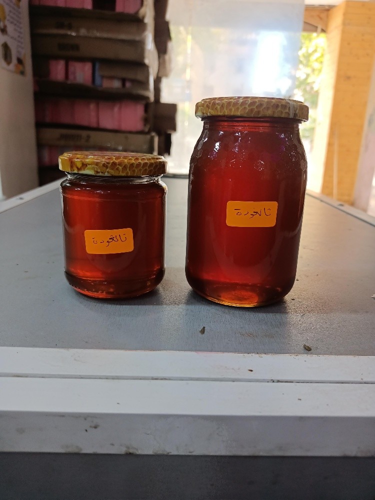 عسل التالغودة - 1