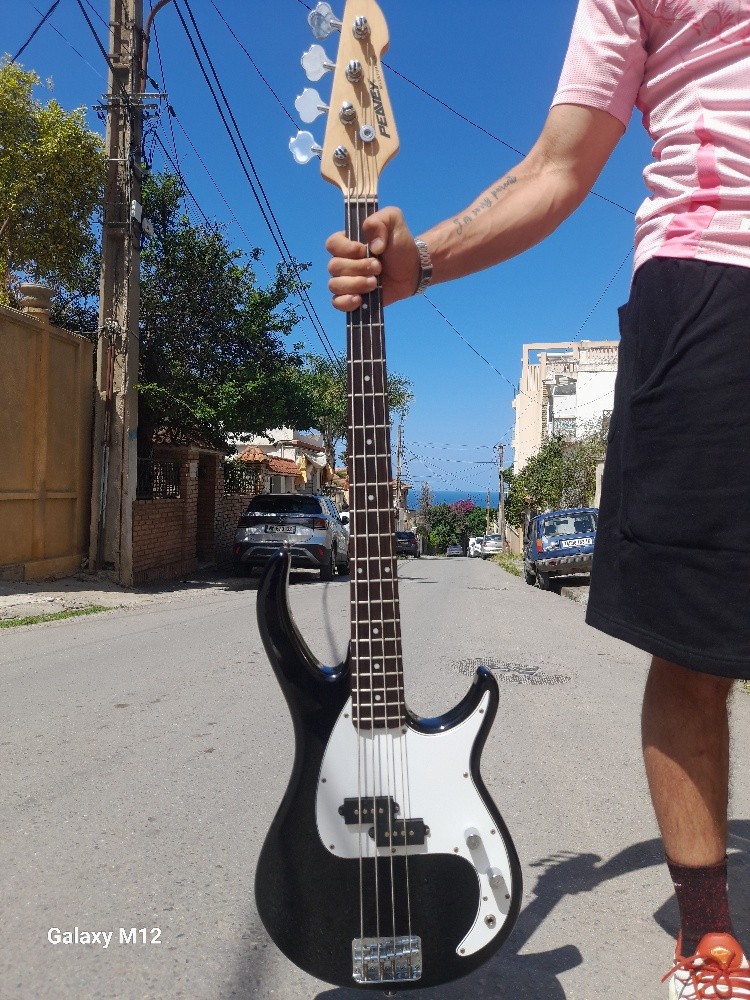 Guitare basse peavey milestone iv - 2