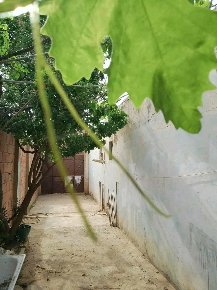 سكن ارضي للبيع - 1