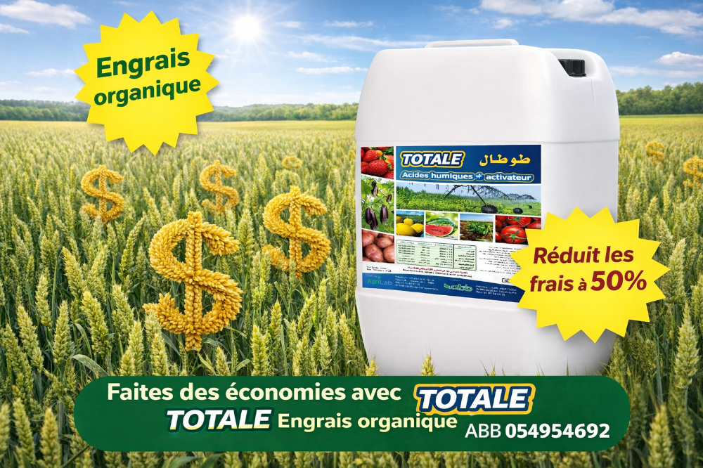 Total - 1