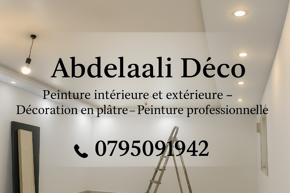 placoplâtre peinture décorative - 3