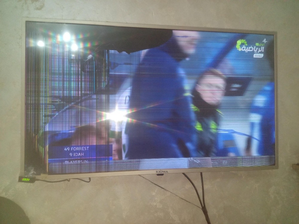 Tv 43 puces - 1