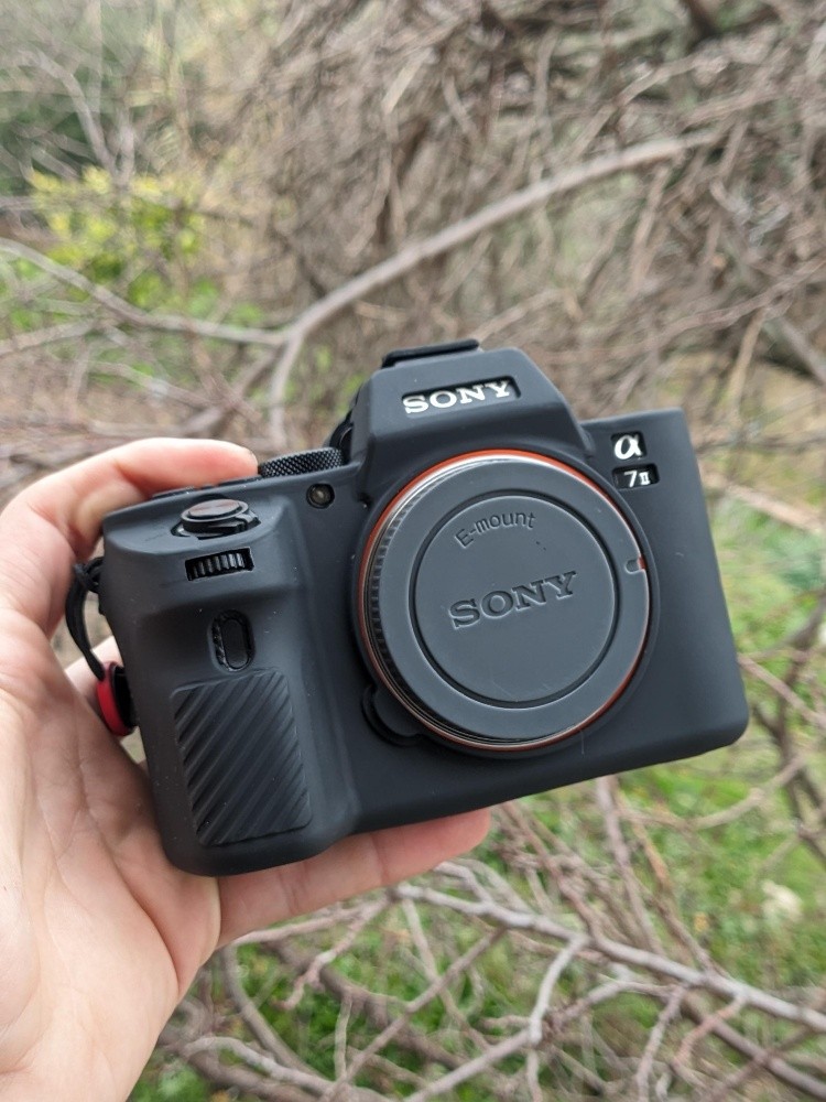 Sony a7 - 2