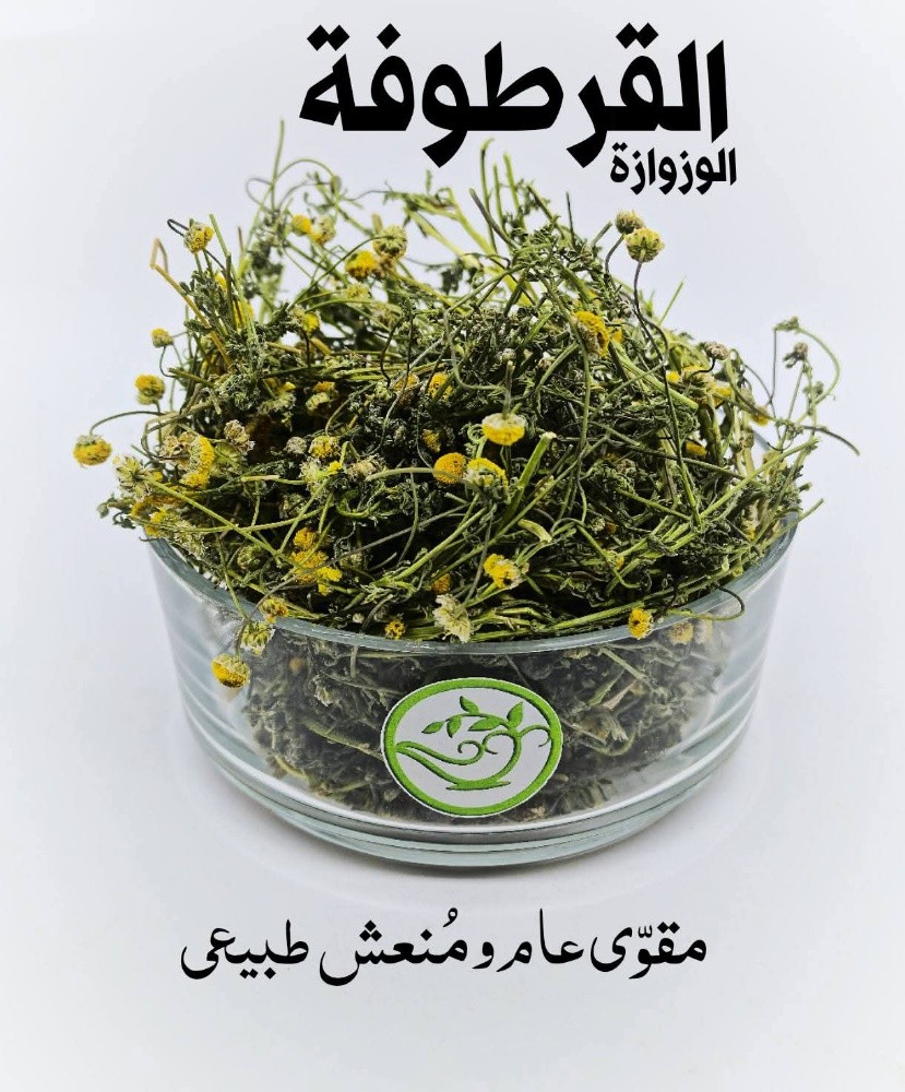 رأس الحانوت صحراوي - 1