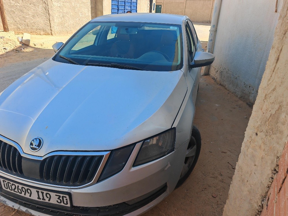 Skoda  - 3