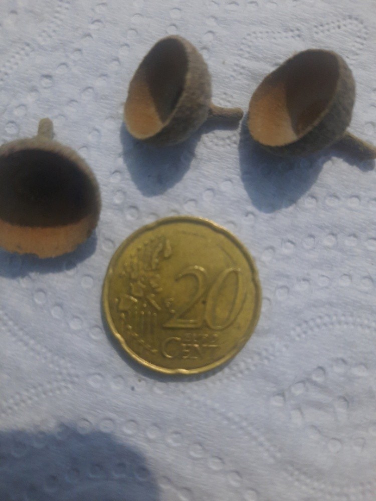rf 1999 20 cent euro - 1