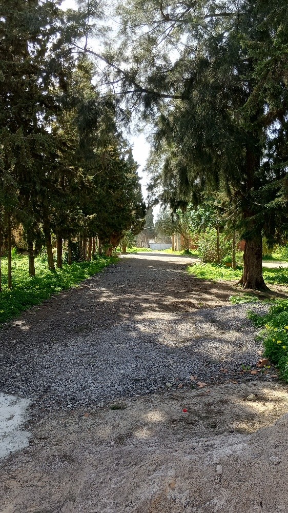villa a vendre résidence privée - 3