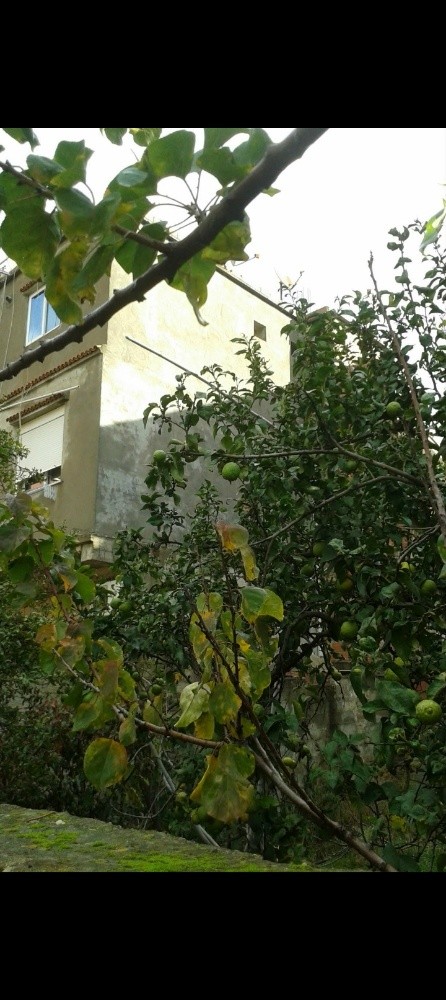 Villa en vent - 1