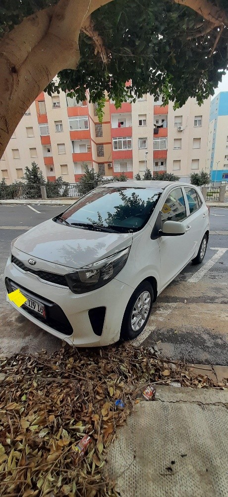 kIA picanto finition start plus - 1