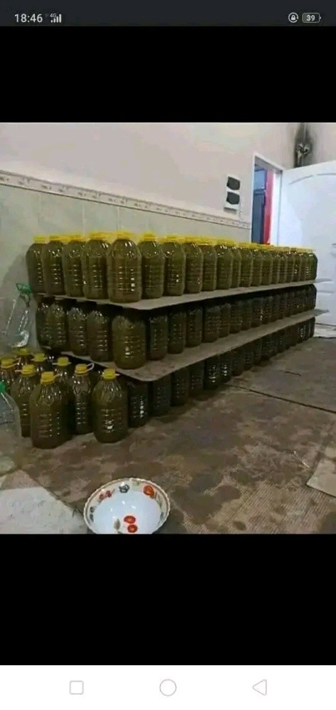 زيت الزيتون الصبراوية للبيع  - 2