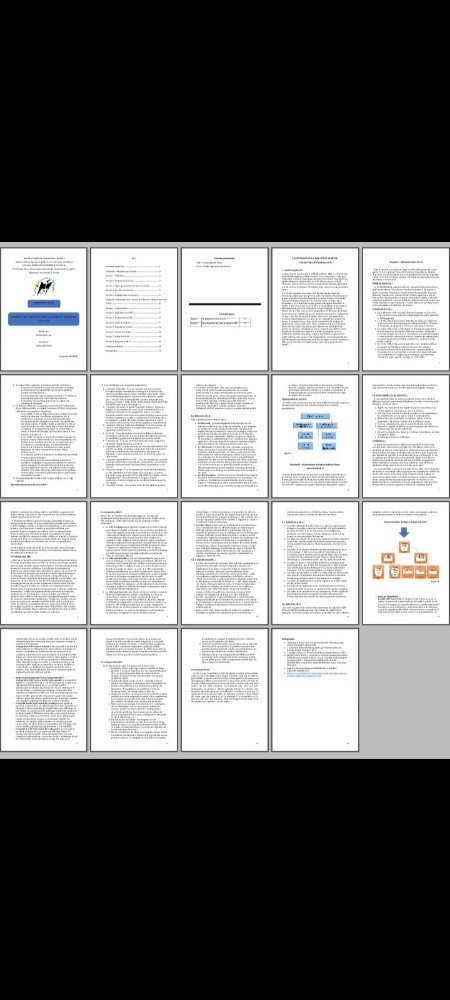 Conception travaux de recherche - 3