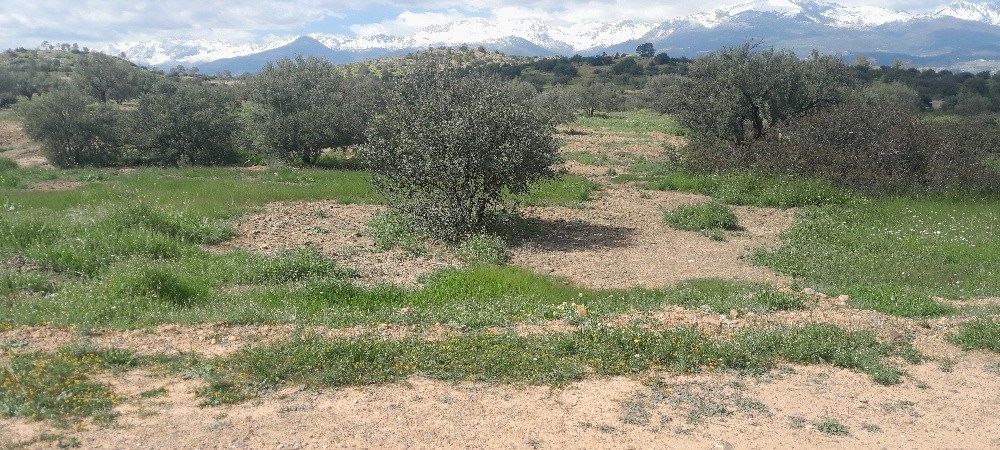 lots de terrain - 1