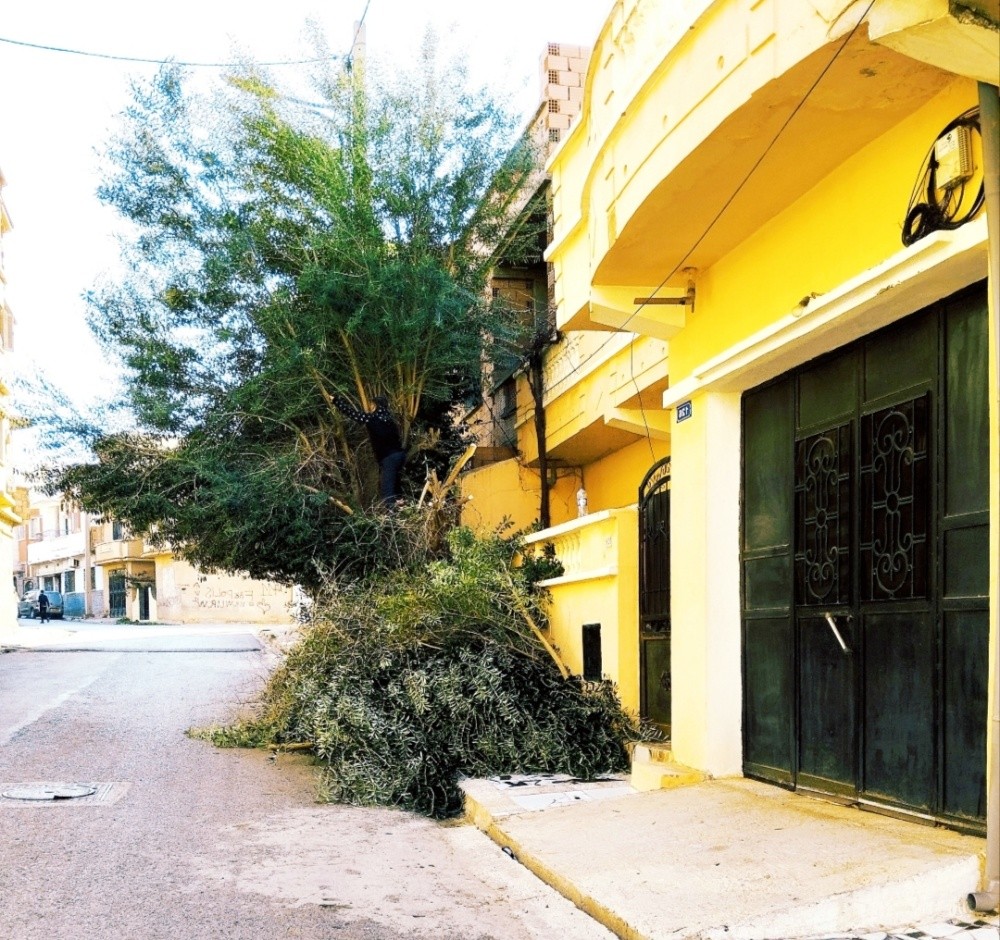 Villa - 1