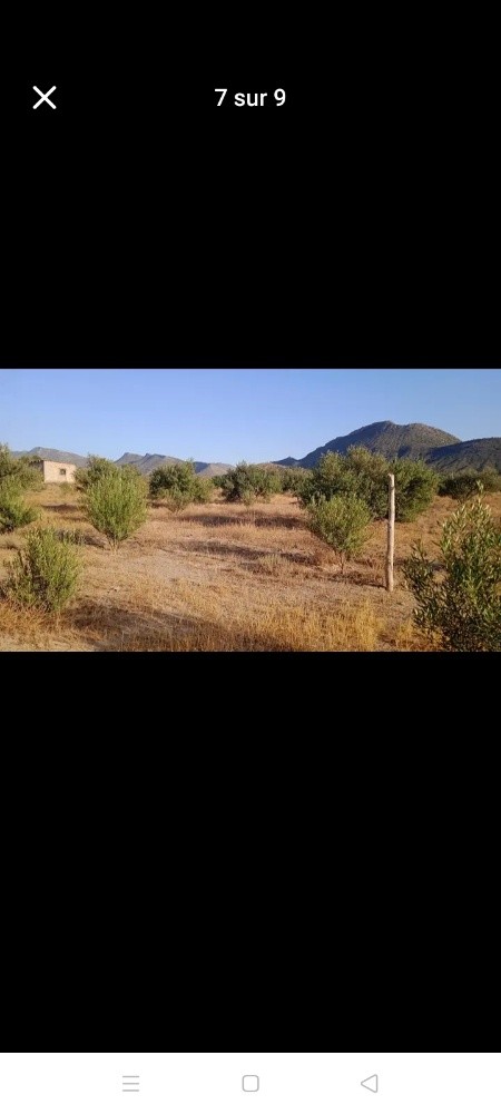 A à vendre lots terrain - 1
