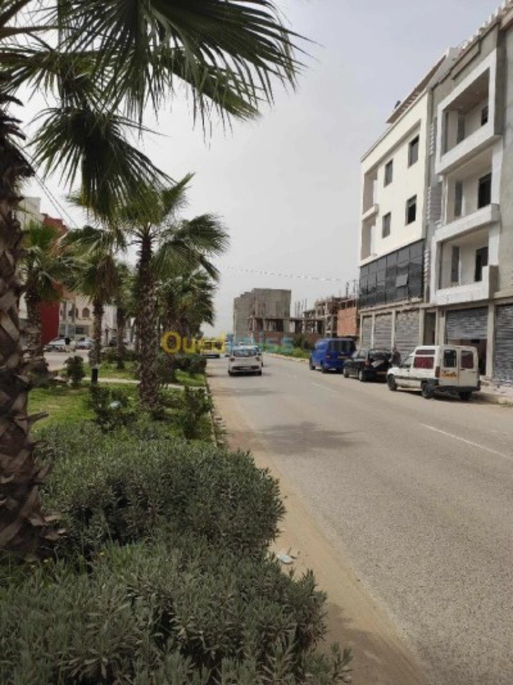 Lot Terrain Cadat Rouiba  - 2