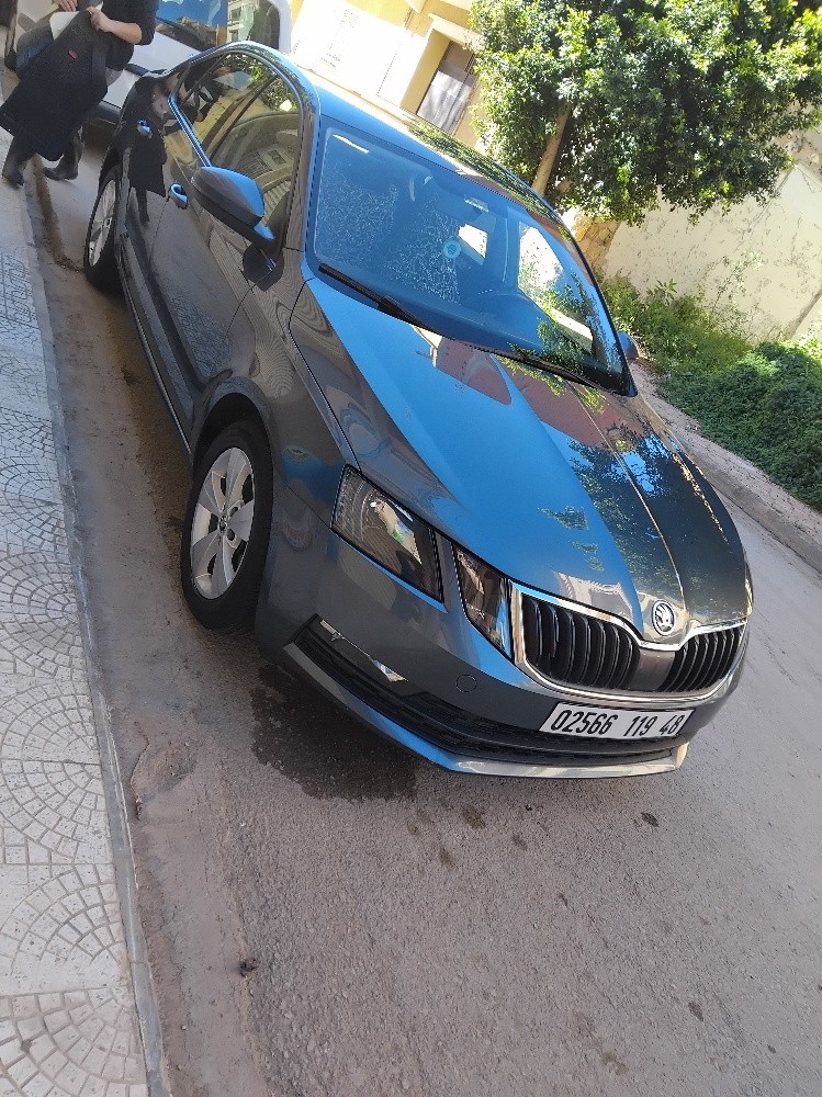 سكودا اوكتافيا للبيع  - 3