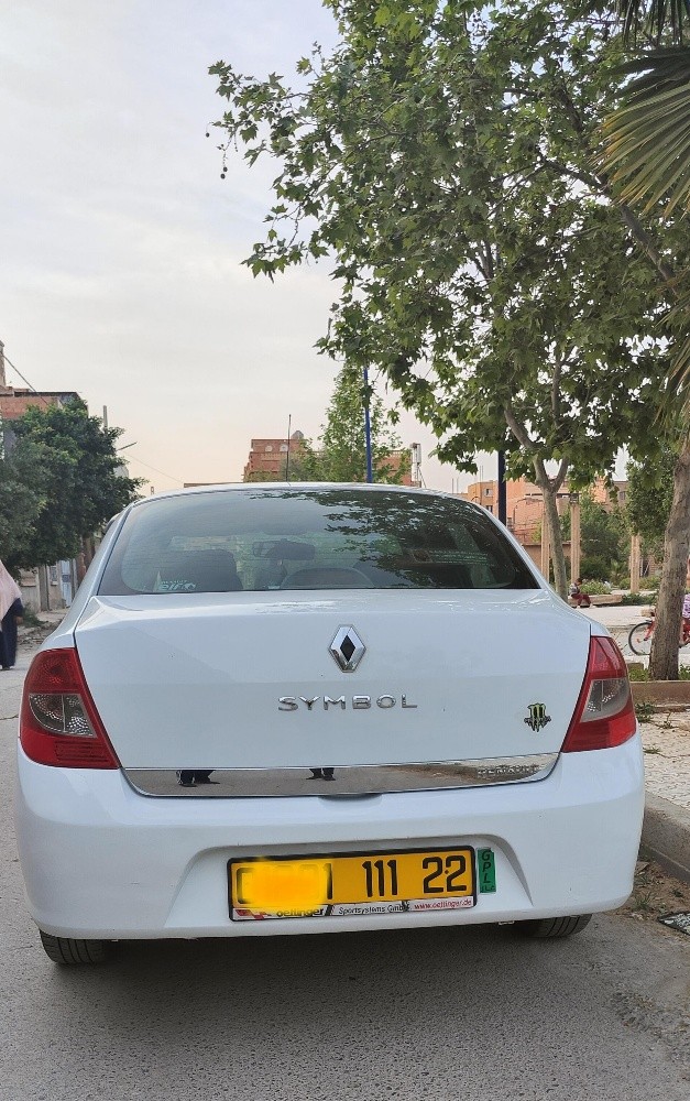 Renault symbole en vent - 3