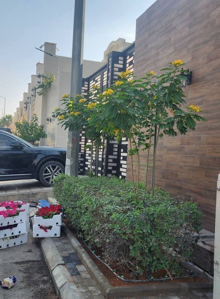 Beau travail de décoration et d'embellissement du jardin et de nettoyage des lieux. - 3
