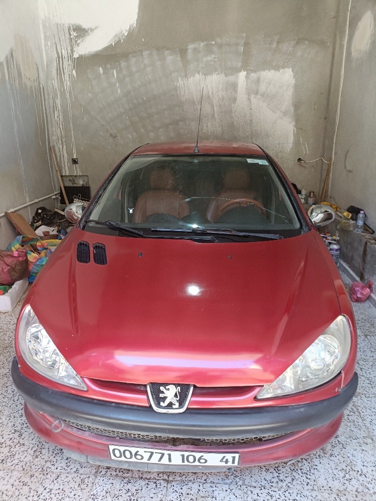 Peugeot 206 en vent  - 1