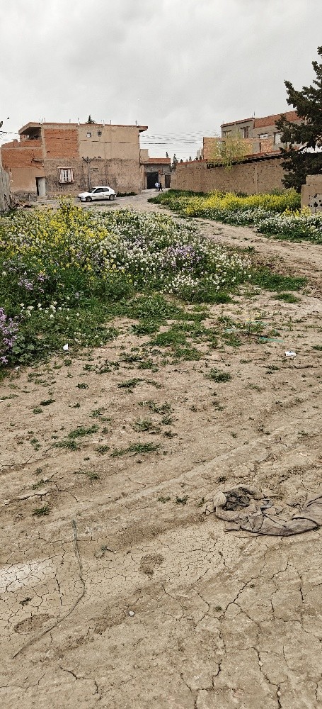 قطعة ارض للبيع - 1