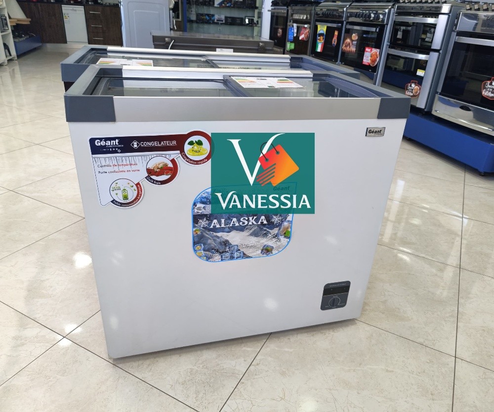 Congélateur Vitré 254L Marque Géa - 2