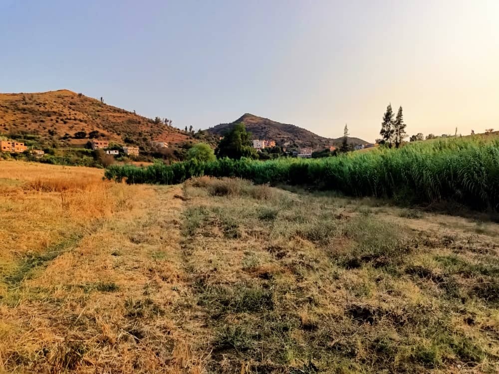 ارض زراعية للبيع  - 2