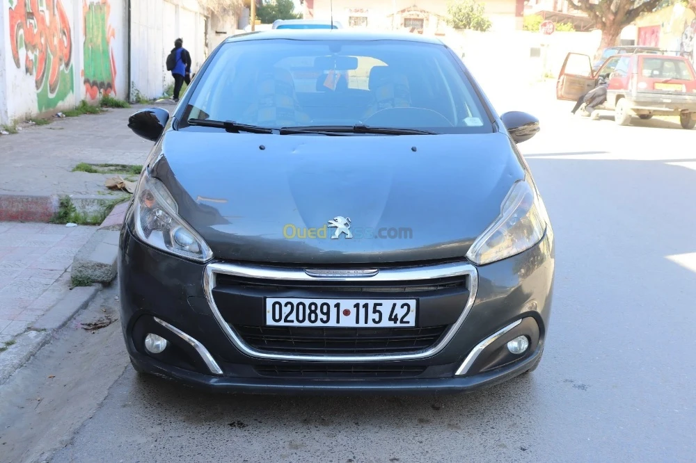Peugeot 208 en vent  - 3