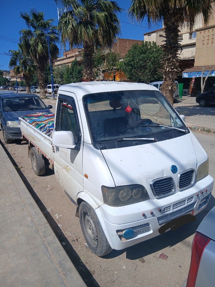 شاحنة ديافام - 2
