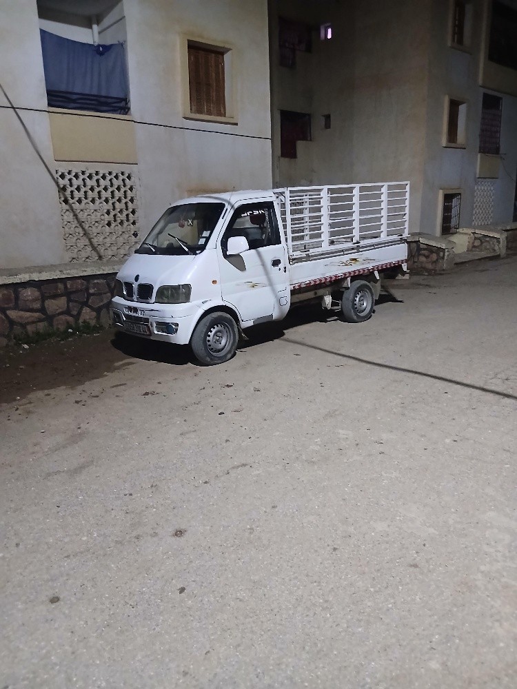 شاحنة ديافام - 4