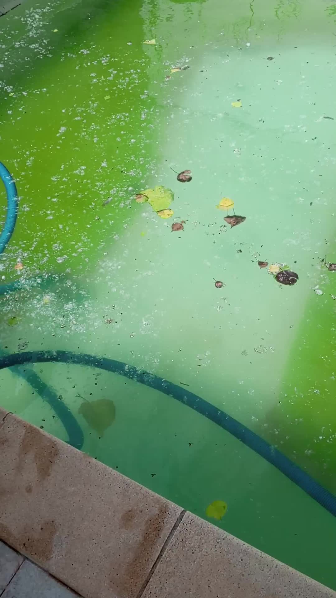 toutes entretient piscins netoyage reparation instalation	 - 1