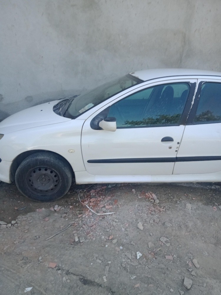 Peugeot 206 en vent  - 4