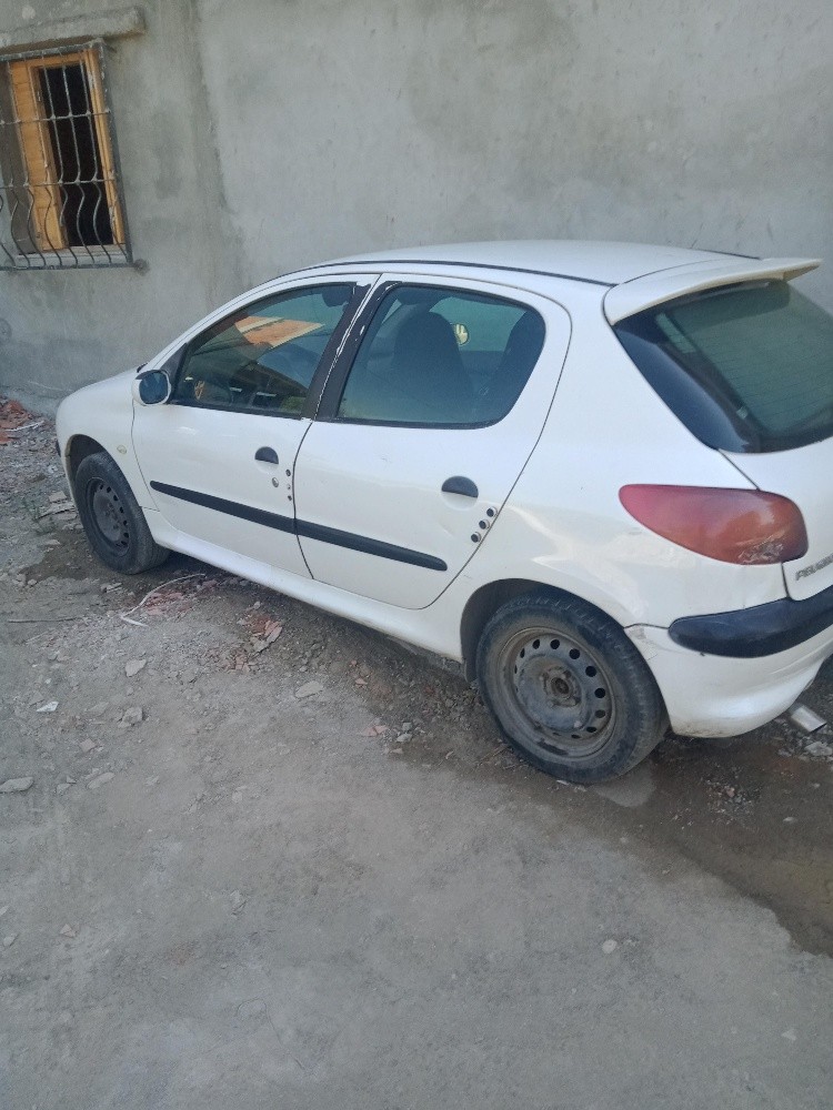 Peugeot 206 en vent  - 5