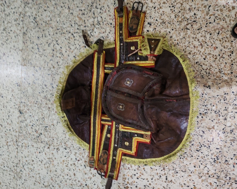 sarj cheval  - 1