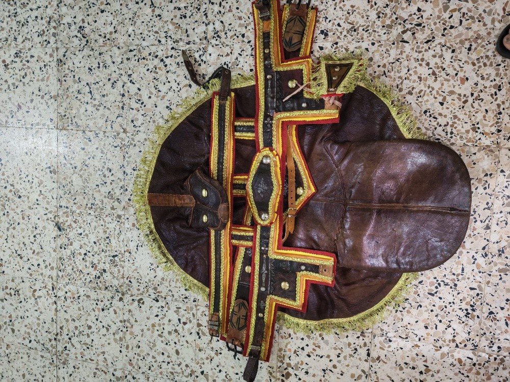 sarj cheval  - 2