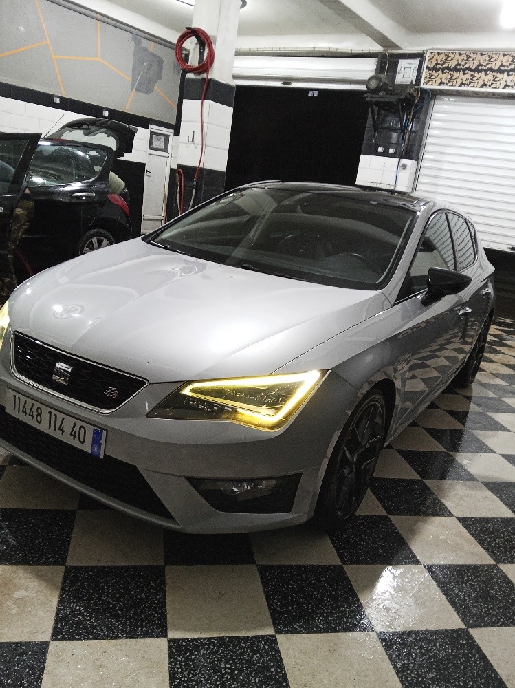 seat lion fr - 14