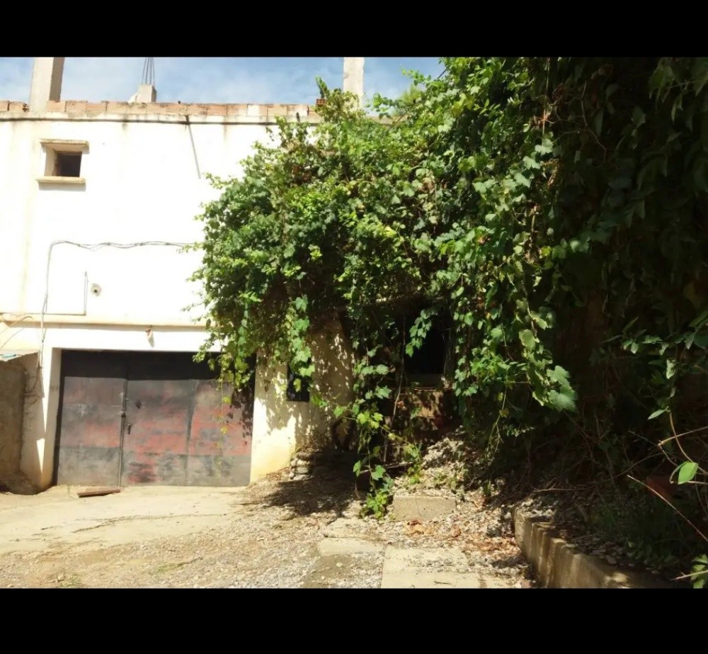 terrain OULED mendil Douera - 3