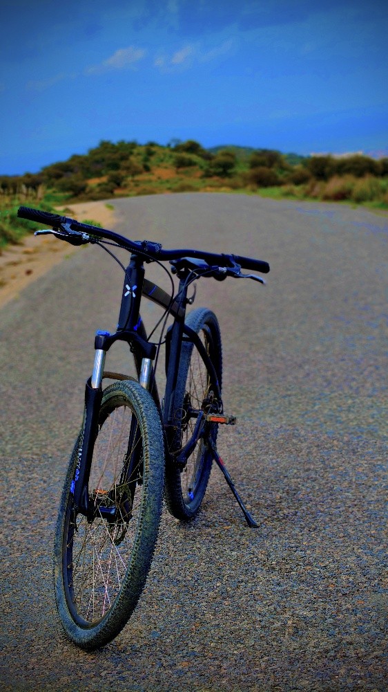 vilo btwen rockrider - 1