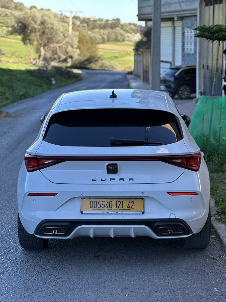 cupra - 1