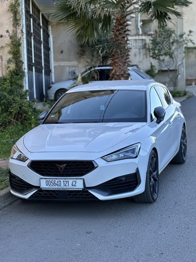 cupra - 3