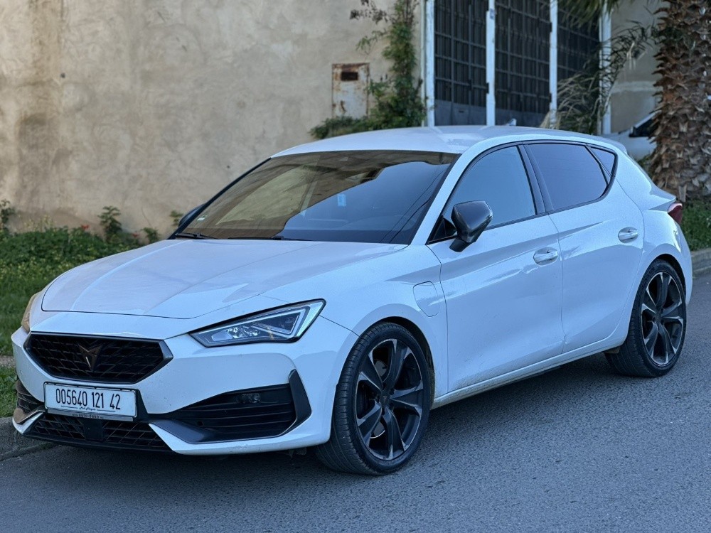 cupra - 4