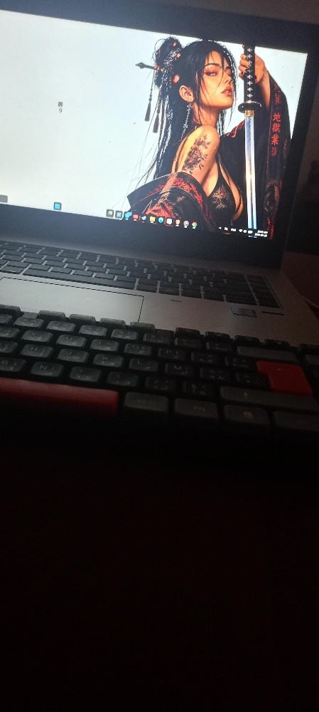 HP PROBOO mousta3mel 3ndou 1 moi - 2
