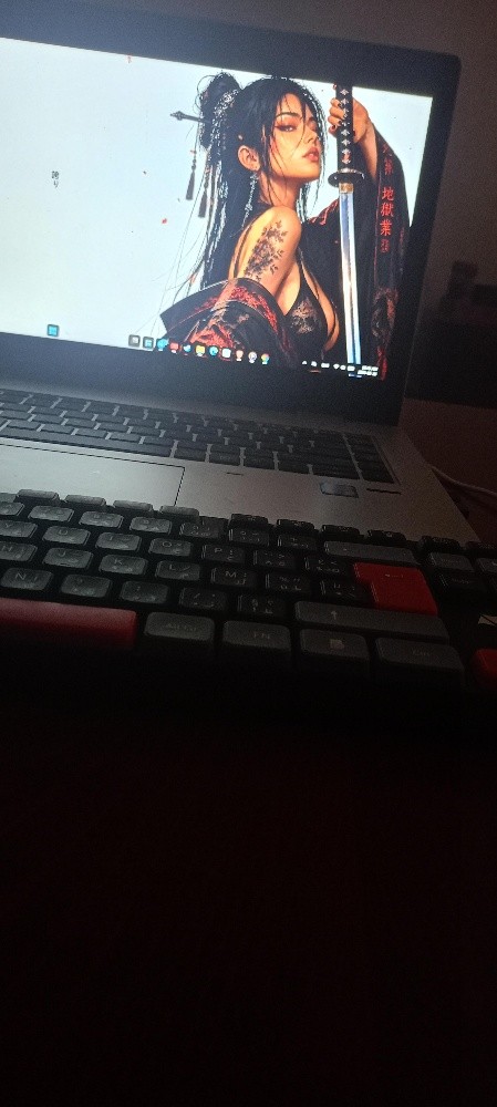 HP PROBOO mousta3mel 3ndou 1 moi - 1