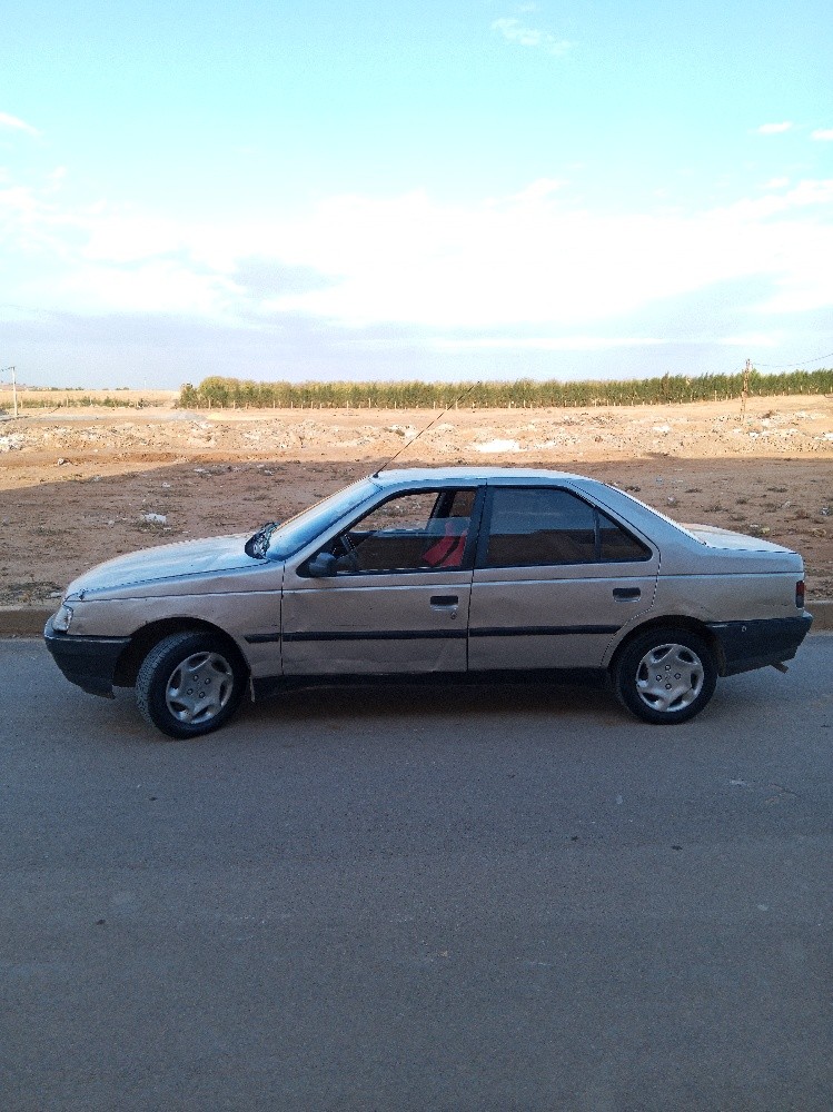 405 isonse gaz - 12