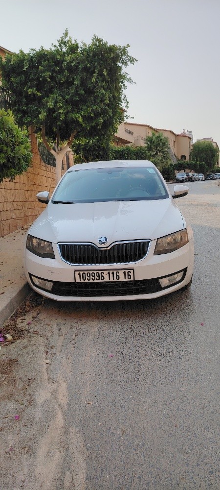 skoda - 4